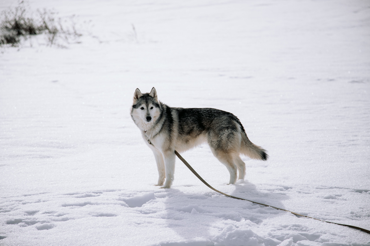 Фотограф в Минске - семейный, свадебный, репортажный фотограф. Фотосъёмка крещения, дня рождения, юбилея, венчания, корпоратива в Минске., фотография от 18.02.2026