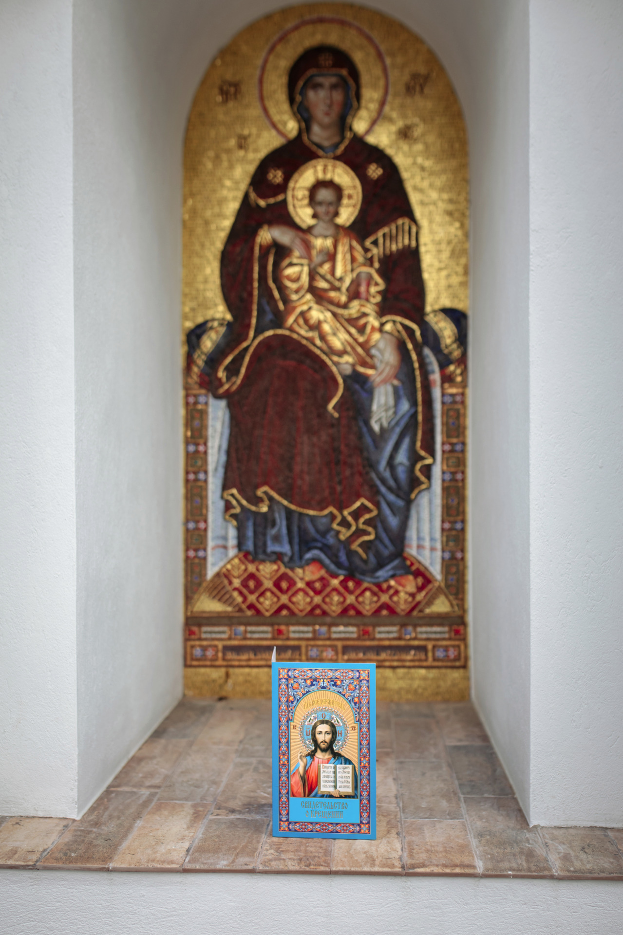 Фотограф Татьяна Жукович, фотография от 19.10.2025