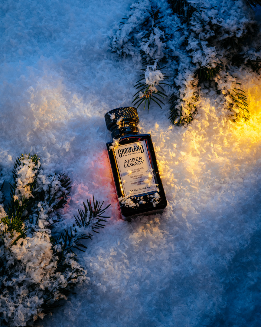 Фотограф Александр Кузьмин, фотография от 11.11.2025