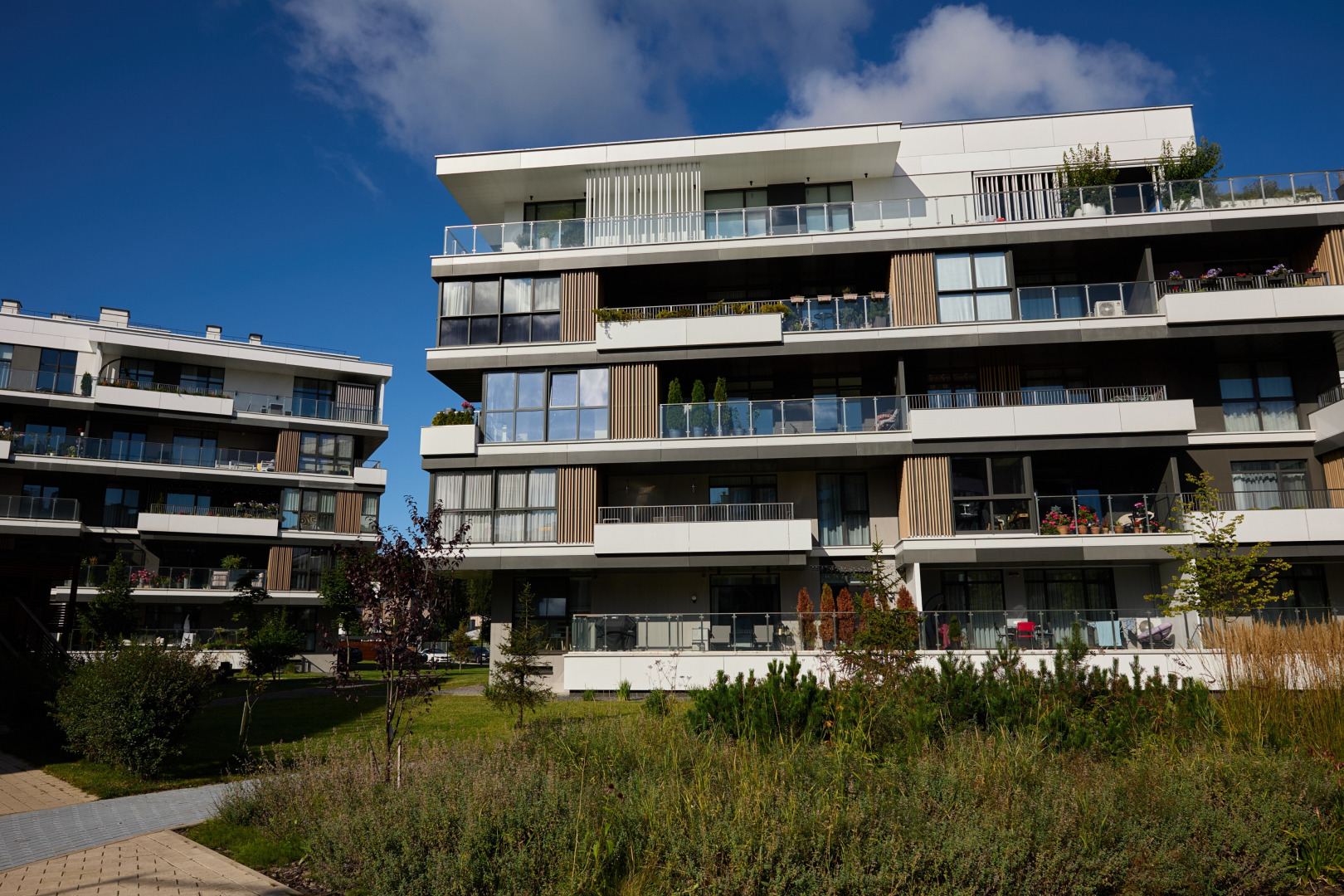 Фотограф Илья и Юлия Ширмановы, фотография от 17.12.2025