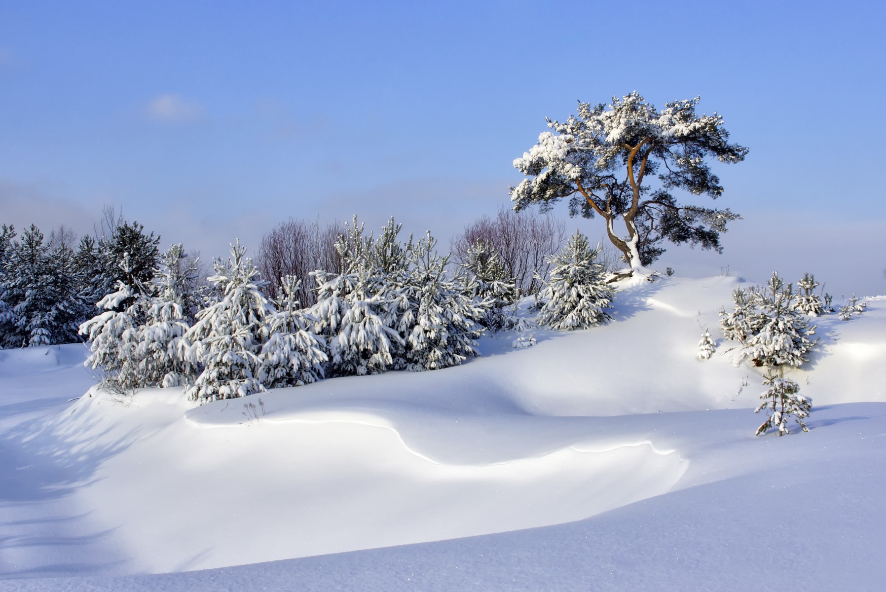 Снежные барханы | Фотограф Varvara Gvozdkova | foto.by фото.бай