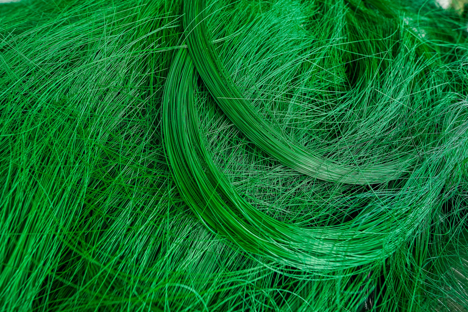 Фотограф интерьеров в Минске — Екатерина Малец | Профессиональная съемка квартир и домов, фотография от 08.11.2025