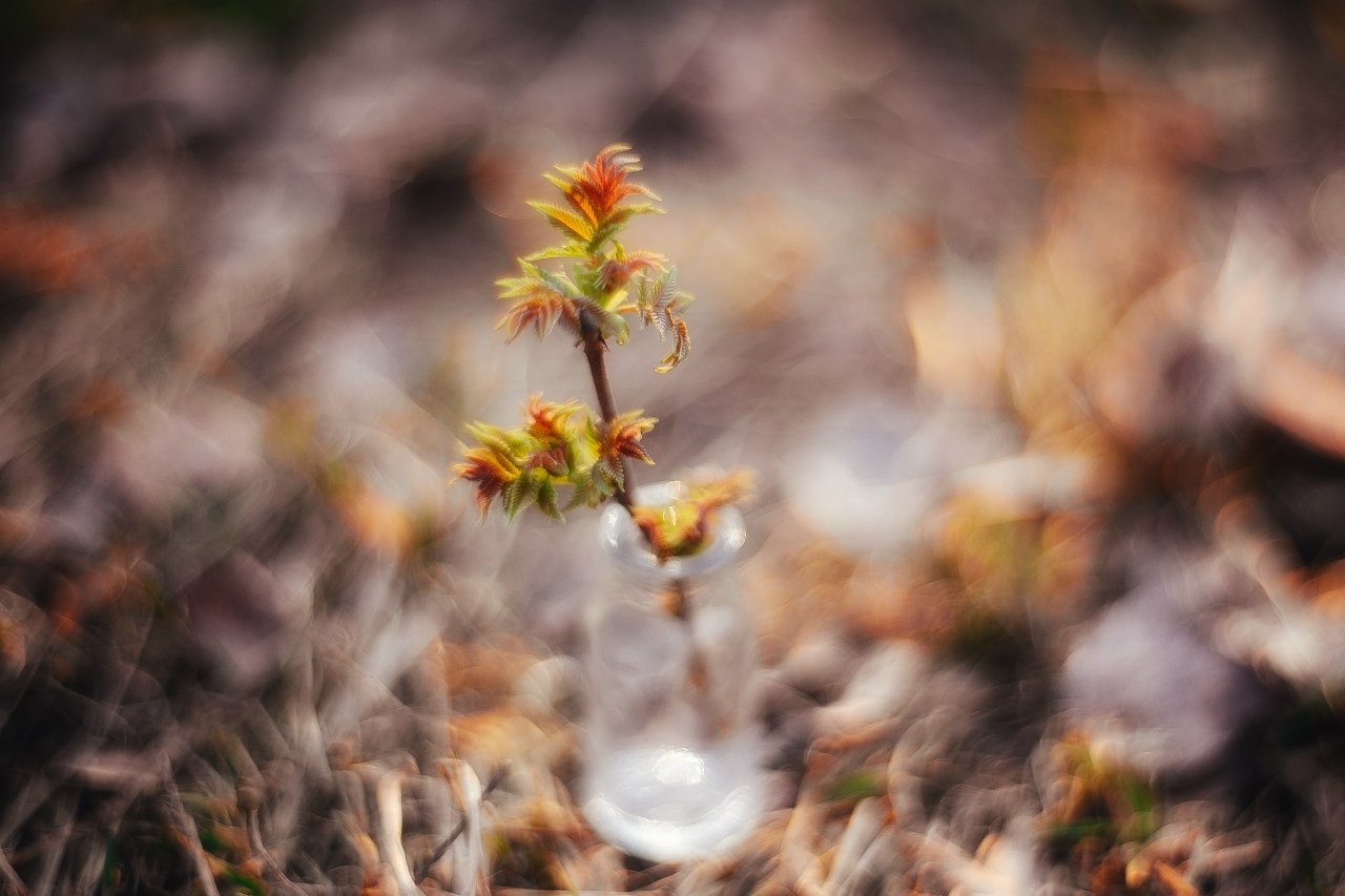 Весна идет | Фотограф Артур Язубец | foto.by фото.бай