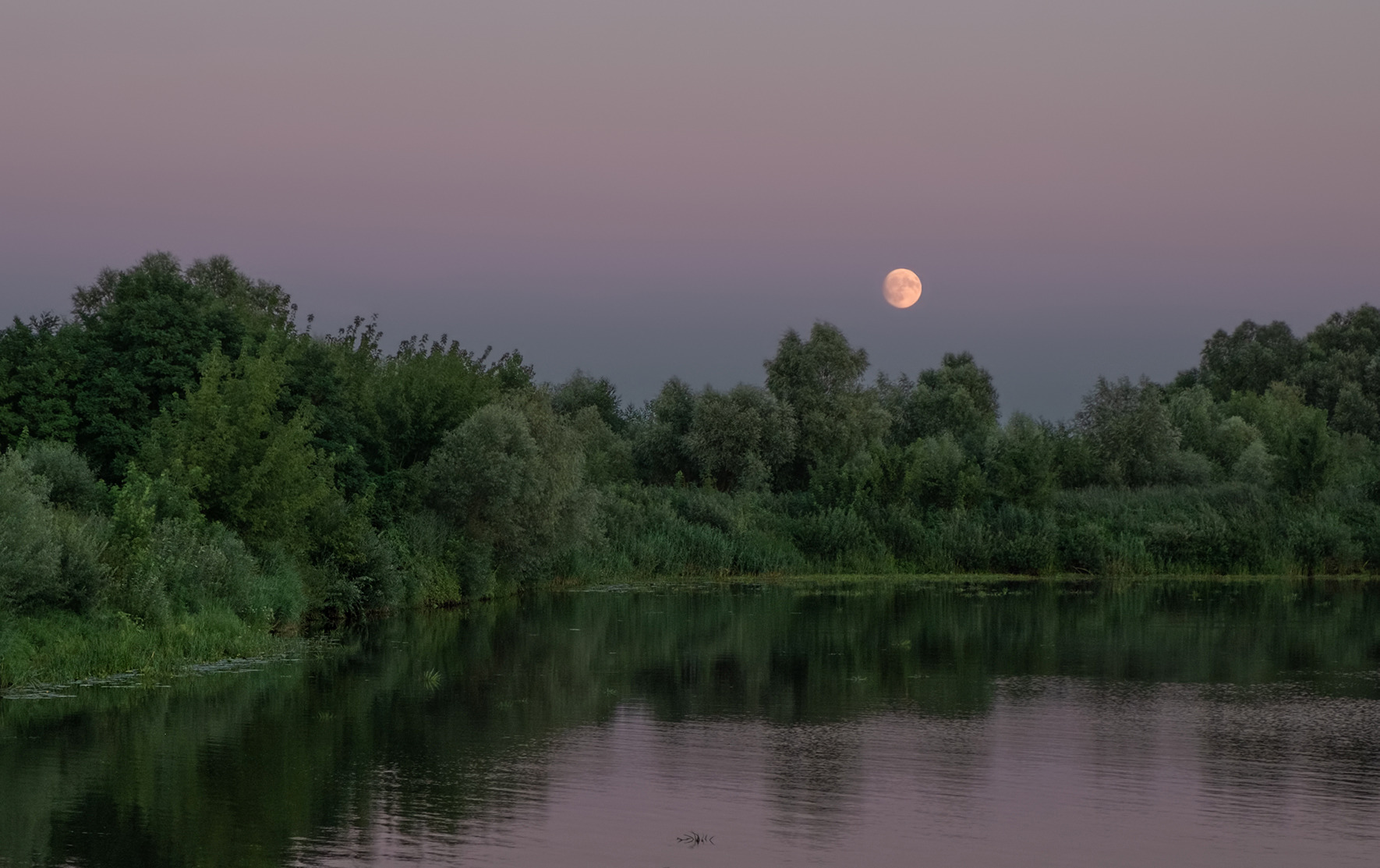 Время полнолуния | Фотограф Александр Шатохин | foto.by фото.бай