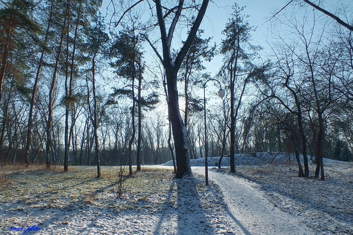 Зимнее утро | Фотограф Сергей Мышковский | foto.by фото.бай