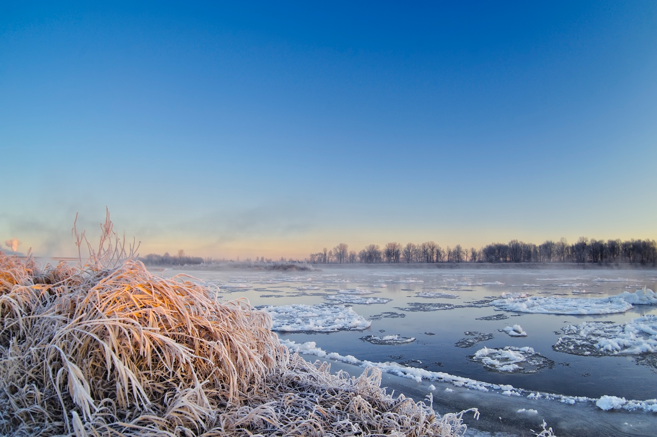 Зимним утром | Фотограф Стас Аврамчик | foto.by фото.бай