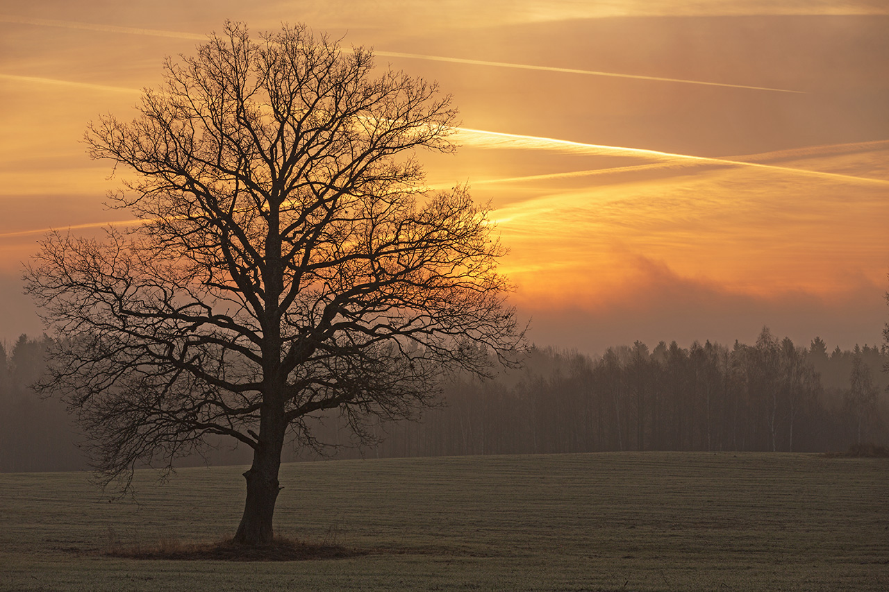 * | foto.by фото.бай