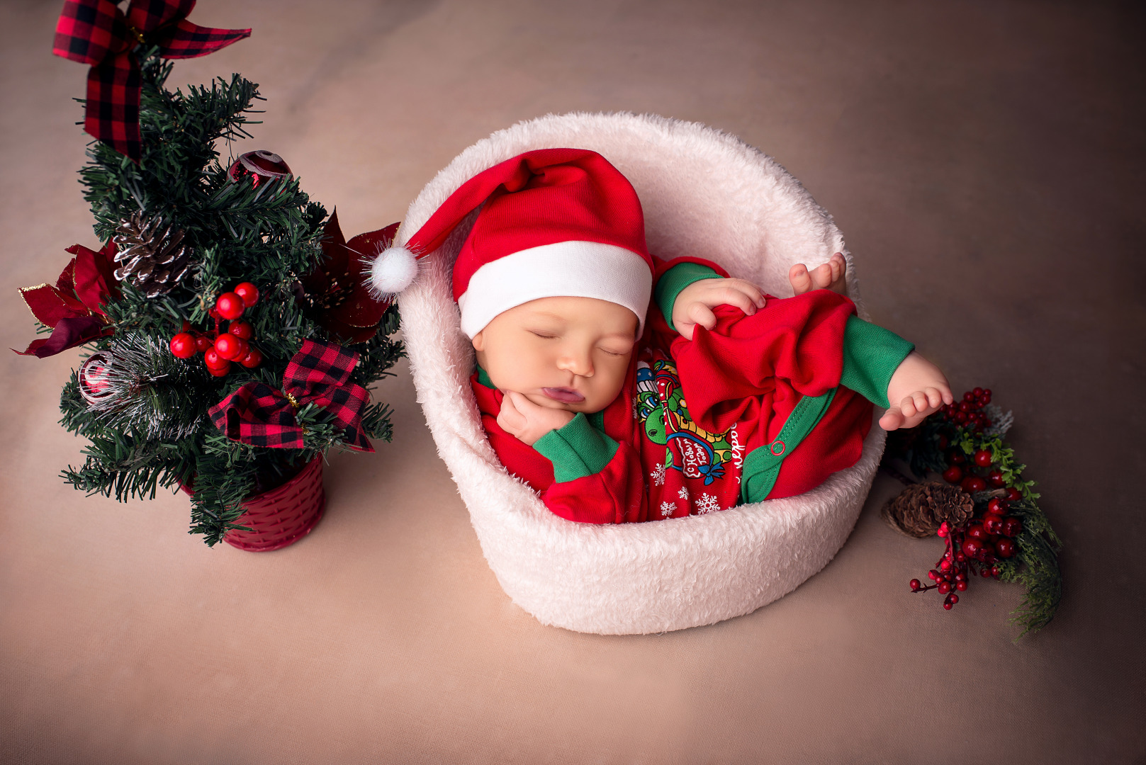 Фотограф Елена Прищепа - фотограф новорожденных в городе Слуцк, Минск, Старые Дороги, фотография от 02.11.2025