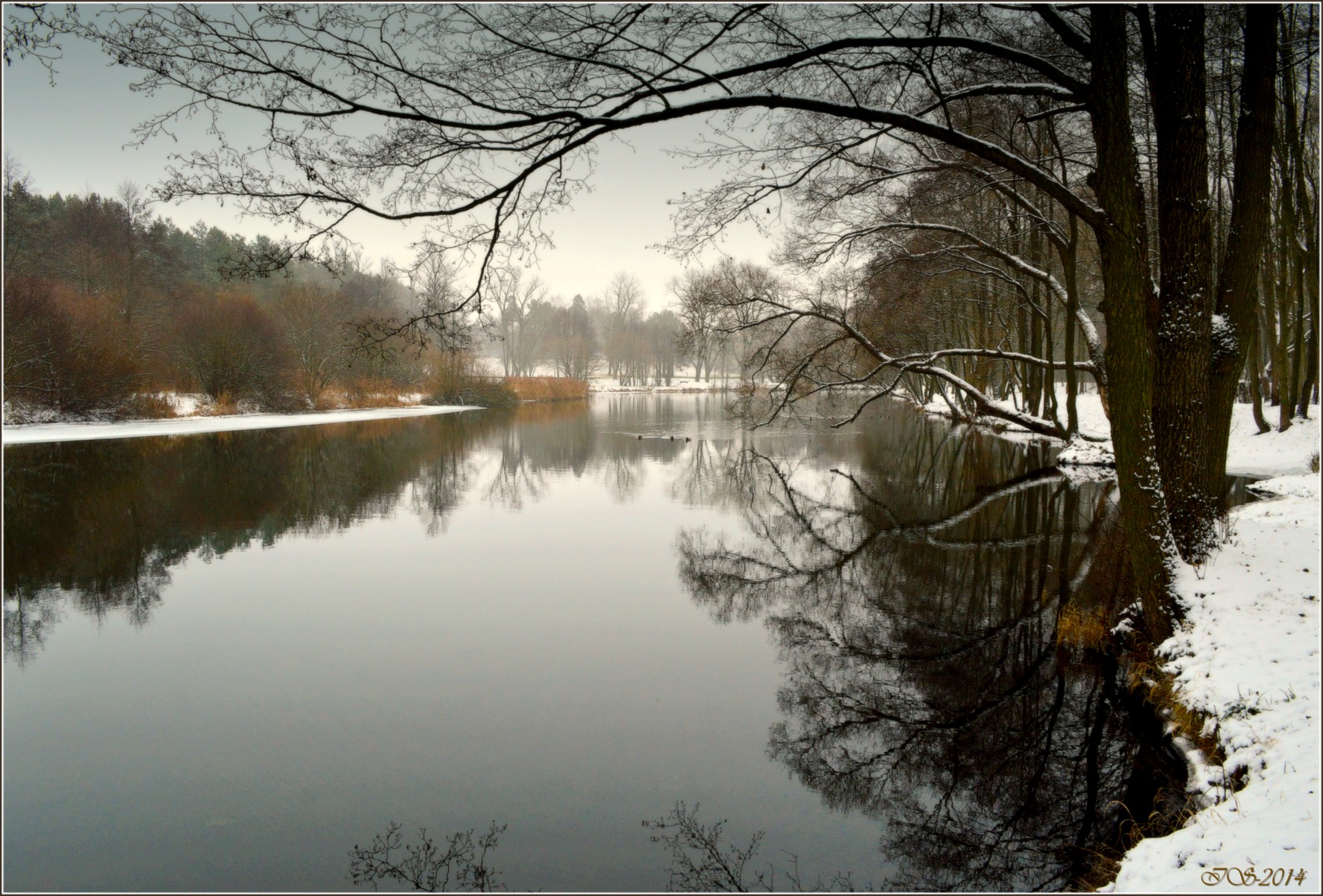 прогулка вдоль реки | Фотограф Игорь Сафонов | foto.by фото.бай