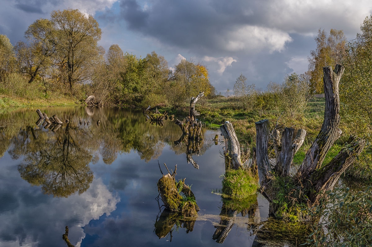 Старый пруд | Фотограф Зміцер Пахоменка | foto.by фото.бай