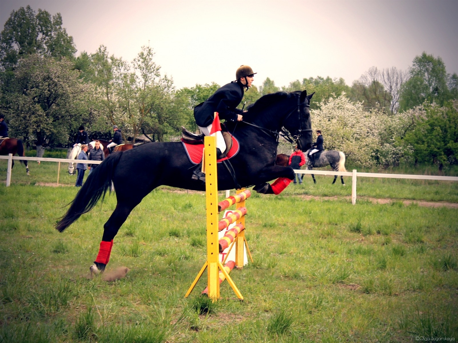 конный спорт | Фотограф Olga Bayanskaya | foto.by фото.бай