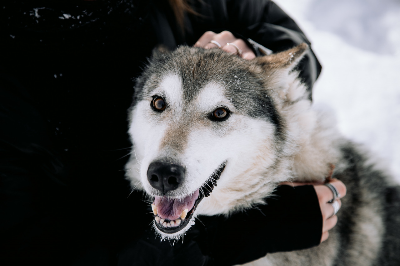 Фотограф в Минске - семейный, свадебный, репортажный фотограф. Фотосъёмка крещения, дня рождения, юбилея, венчания, корпоратива в Минске., фотография от 18.02.2026