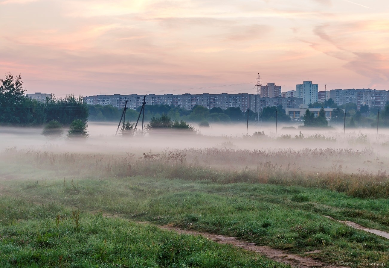 Летнее утро в Лошицком парке | Фотограф Александр Светогор | foto.by фото.бай