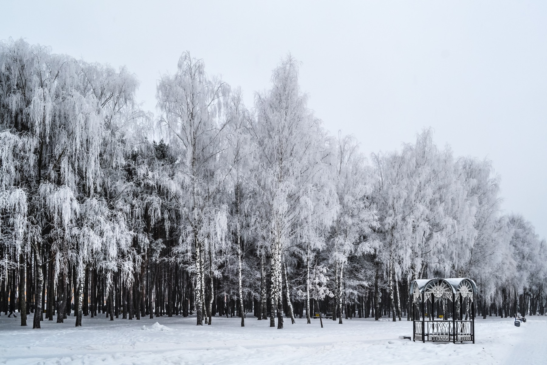 Зимняя мечта | Фотограф Анна Шевцова | foto.by фото.бай