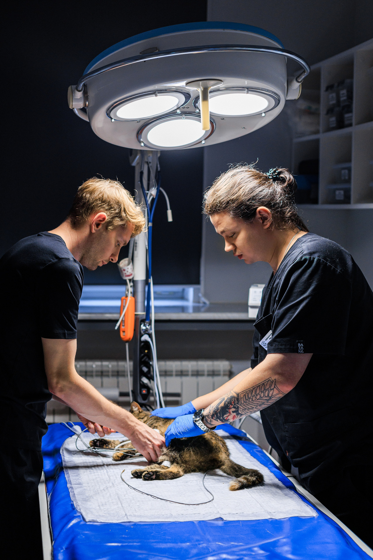 Фотограф Михаил и Елизавета Лукашевич, фотография от 16.01.2026