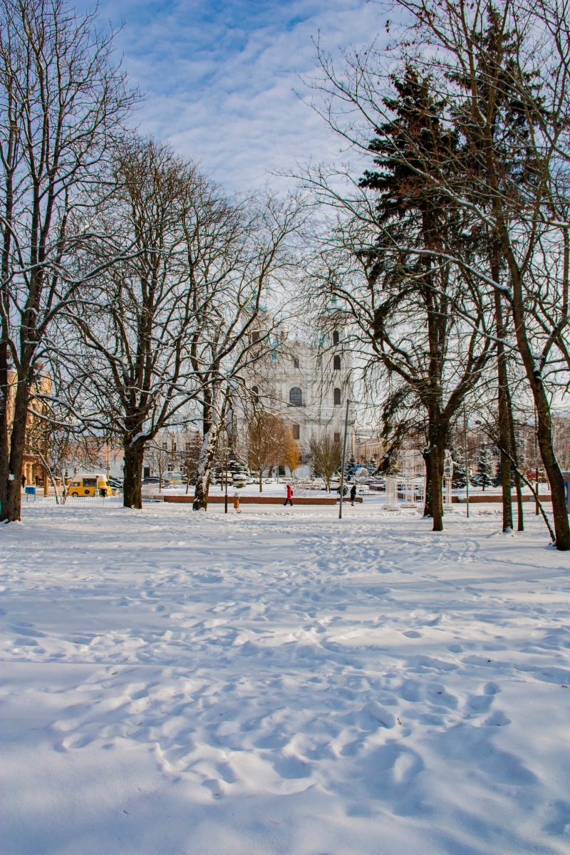 В зимнем сквере. | Фотограф Александр Архипов | foto.by фото.бай