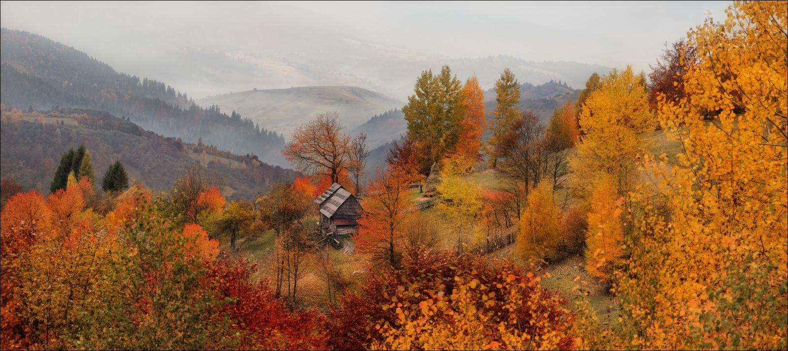 / Что такое осень ... / | Фотограф Влад Соколовский | foto.by фото.бай