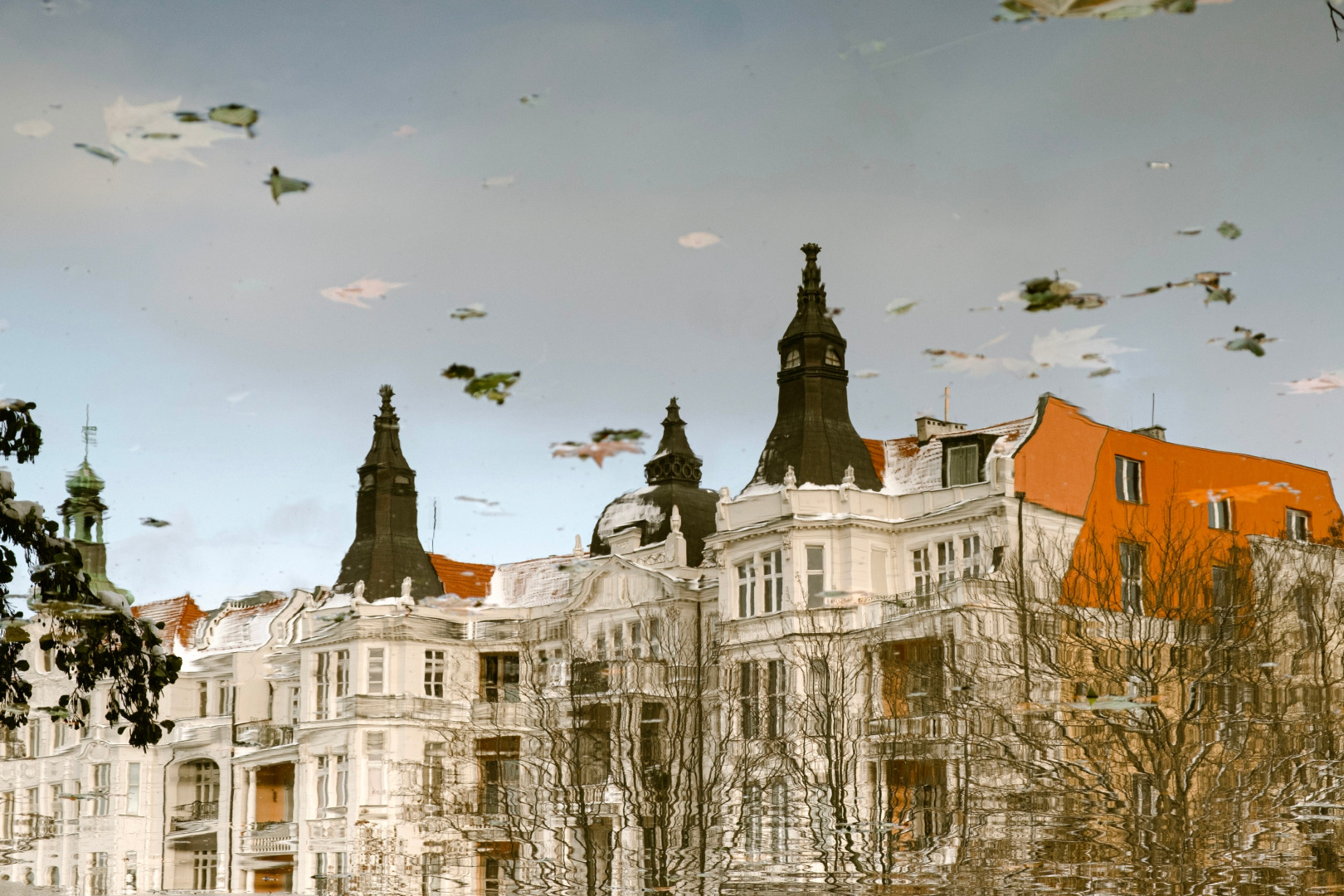 Фотограф Мария Войтик, фотография от 16.02.2026