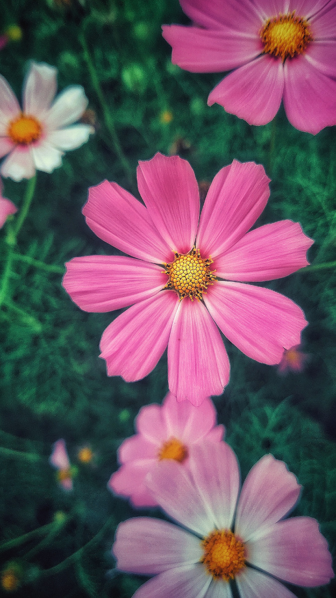 TypeB | Фотограф Max Vain | foto.by фото.бай