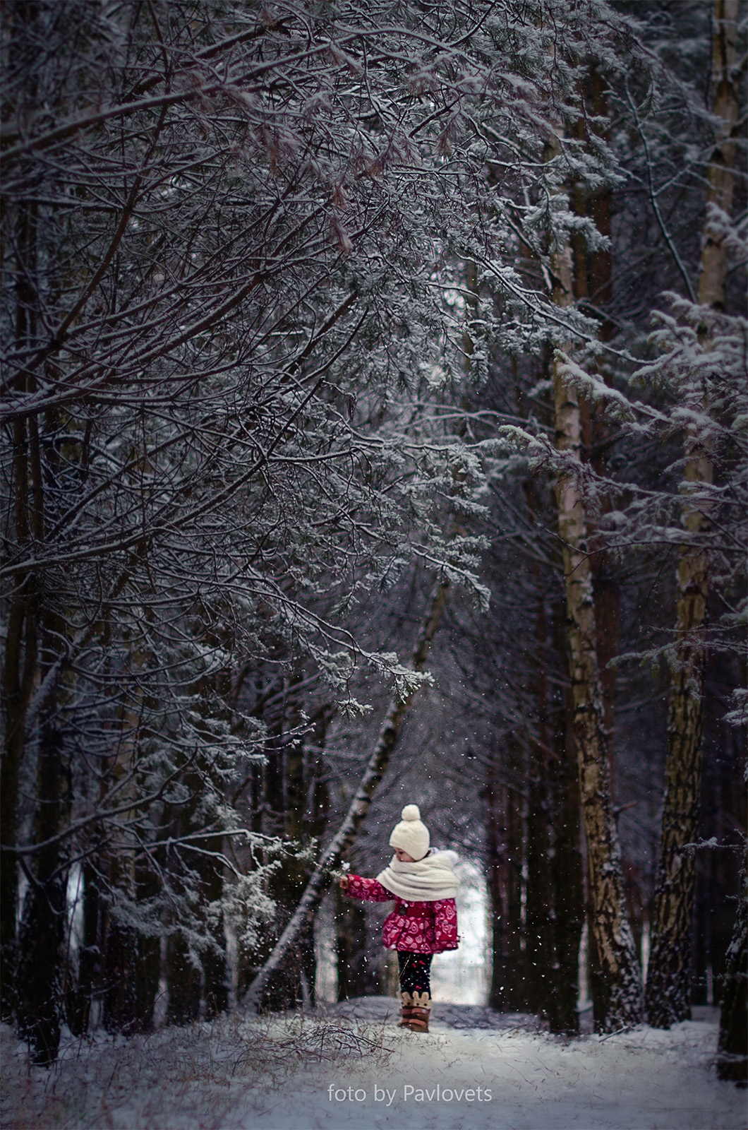 Фотограф Екатерина Павловец, фотография от 28.02.2016