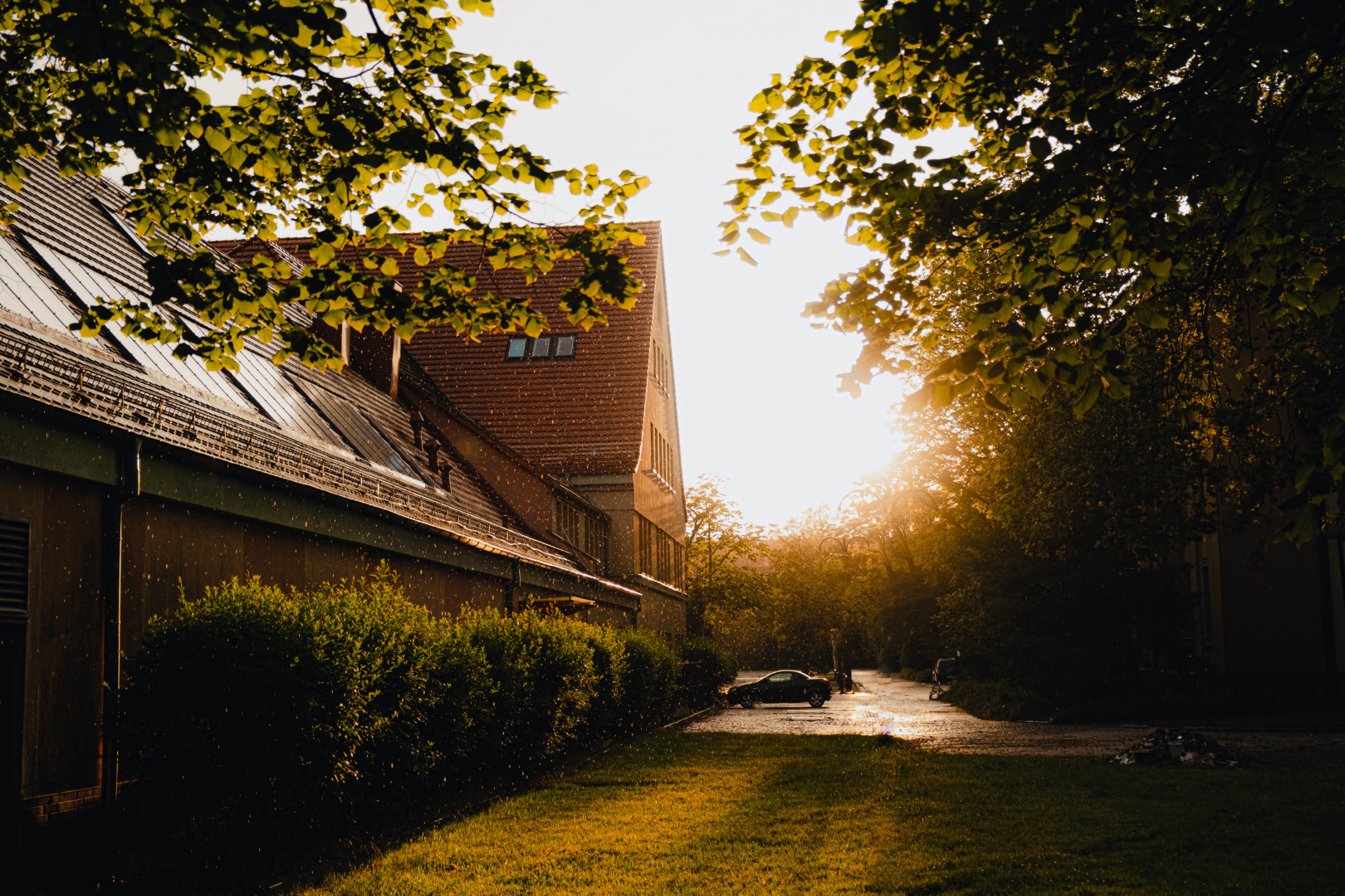 Фотограф Мария Войтик, фотография от 16.02.2026