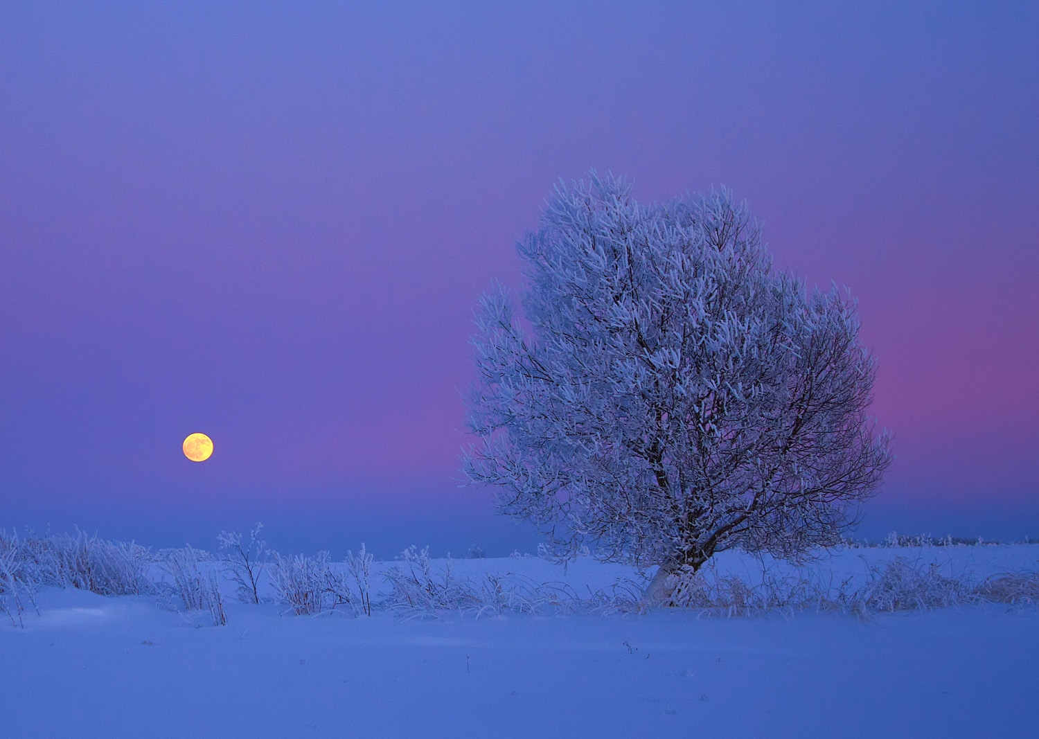 Зимний вечер | Фотограф Александр Храмко | foto.by фото.бай