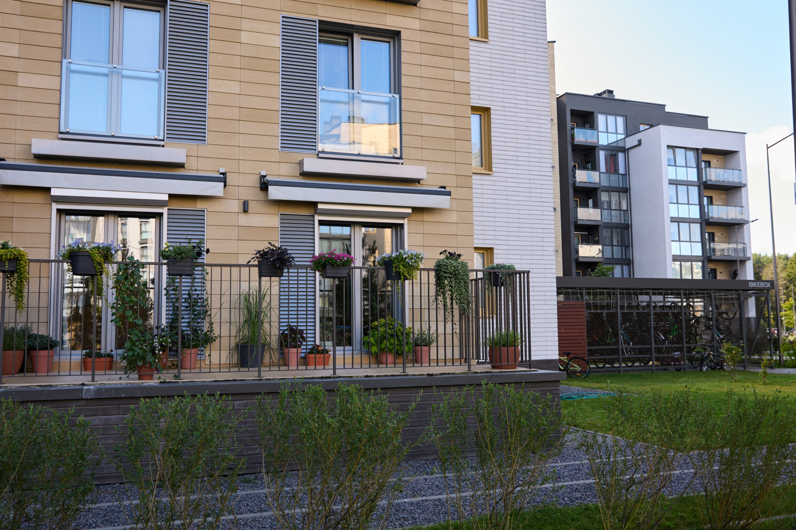 Фотограф Илья и Юлия Ширмановы, фотография от 17.12.2025