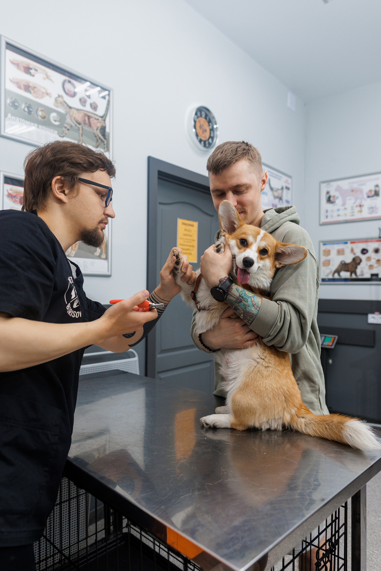 Фотограф Михаил и Елизавета Лукашевич, фотография от 16.01.2026
