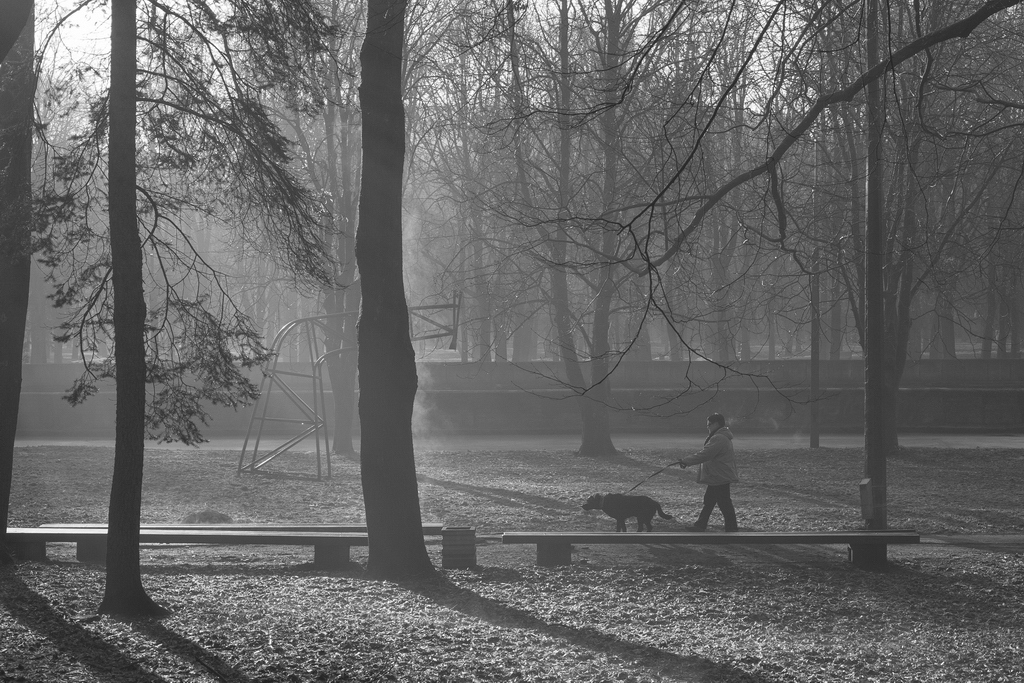 Утро в городском парке | Фотограф Николай Никитин | foto.by фото.бай