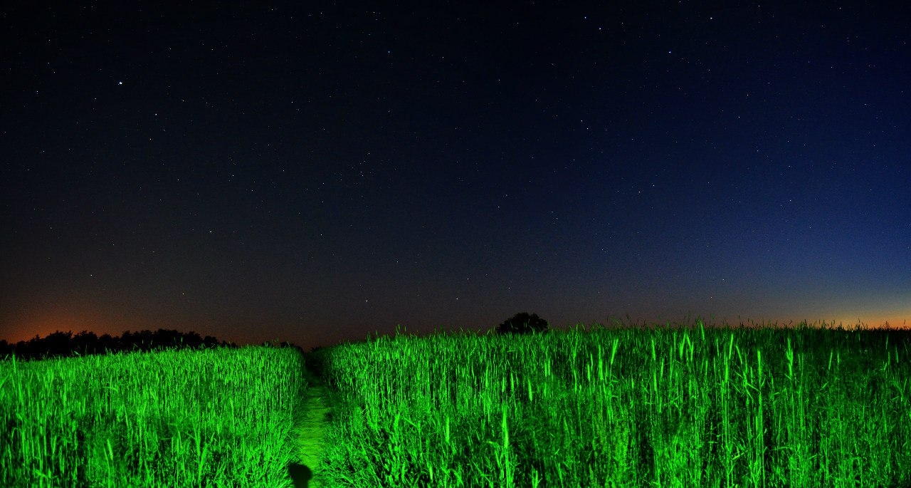 "Зеленая" ночь | Фотограф Харланов Никита | foto.by фото.бай