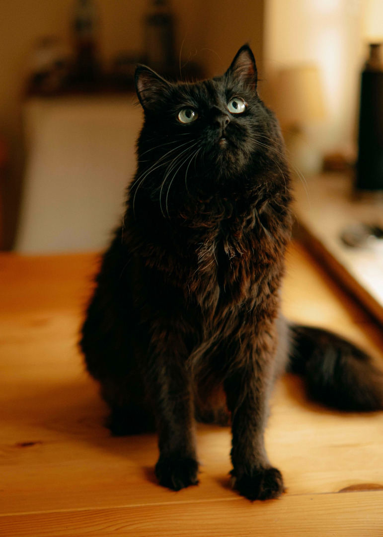 Фотограф Мария Войтик, фотография от 24.12.2025