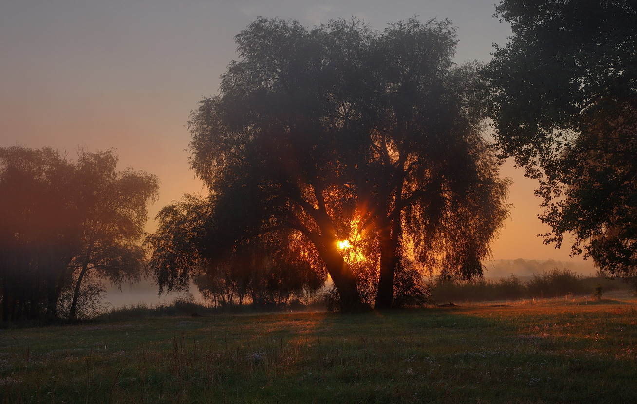 Morning light | Фотограф Сергей Шляга | foto.by фото.бай