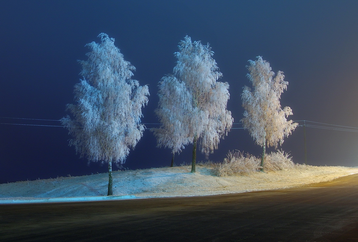 Зимний сон | Фотограф Сергей Шляга | foto.by фото.бай