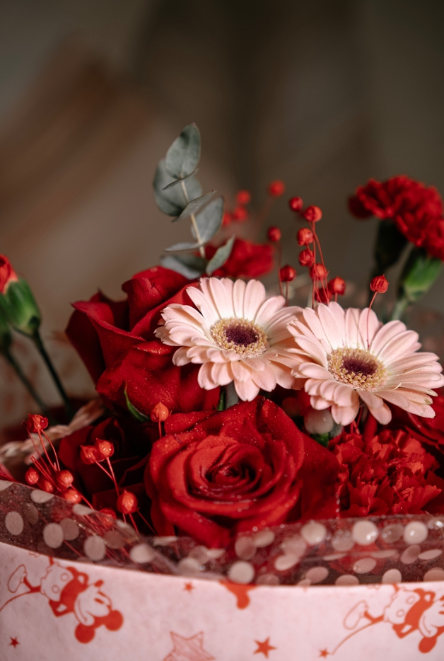 Фотограф Мария Войтик, фотография от 24.12.2025