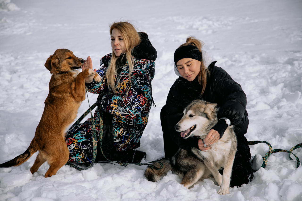 Фотограф в Минске - семейный, свадебный, репортажный фотограф. Фотосъёмка крещения, дня рождения, юбилея, венчания, корпоратива в Минске., фотография от 18.02.2026