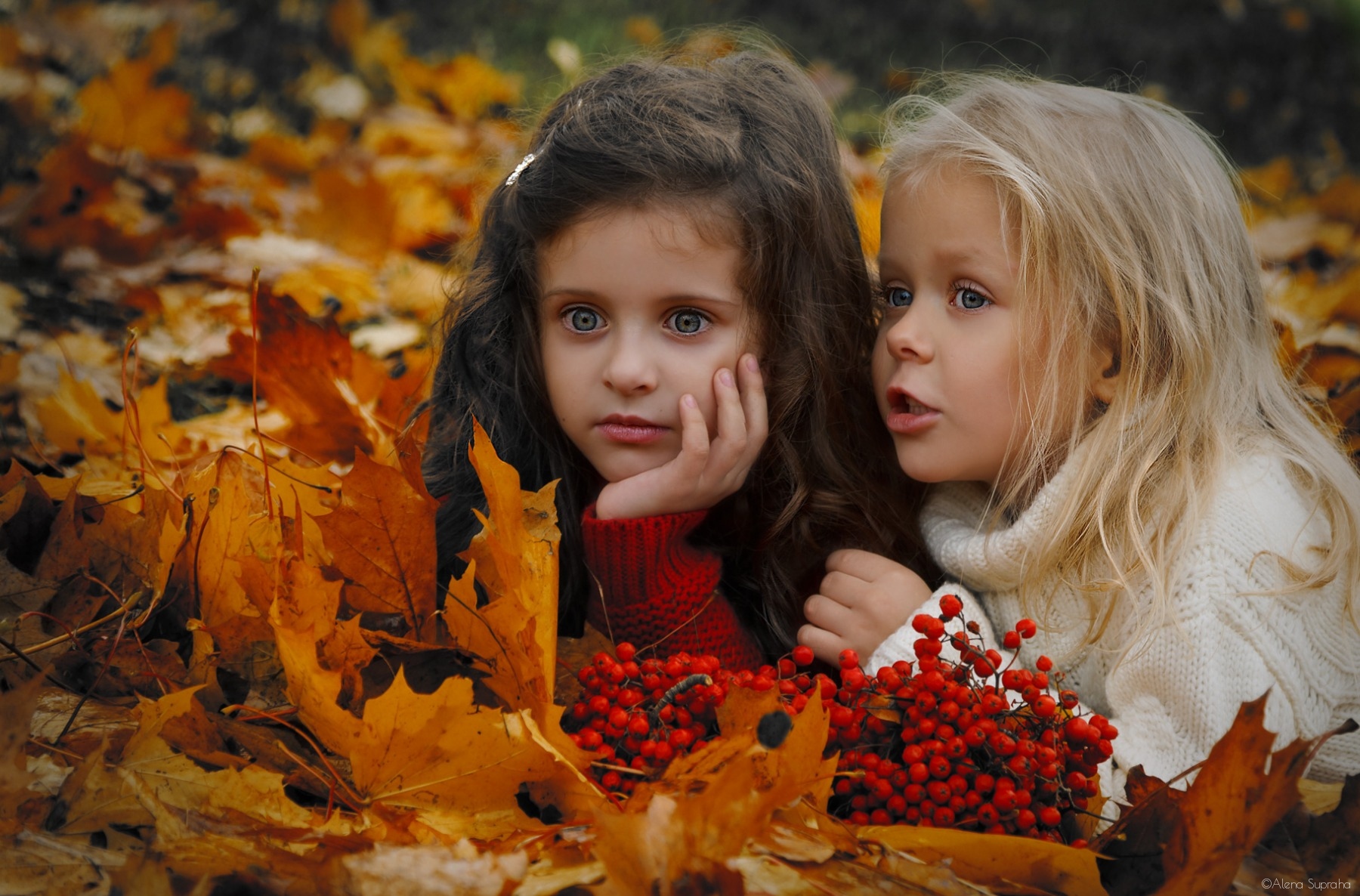 Из серии Осень ...красивая Осень... | Фотограф Алена Супряга | foto.by фото.бай