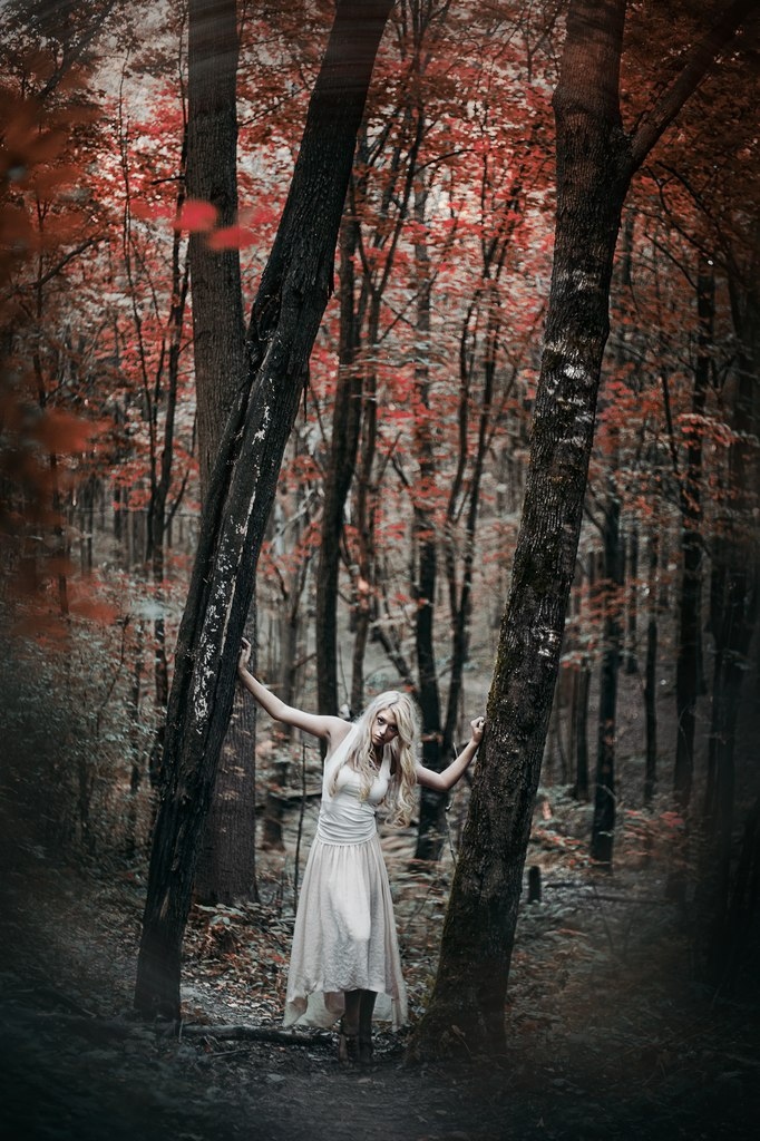 Into the trees | Фотограф Jonny Symmetry | foto.by фото.бай