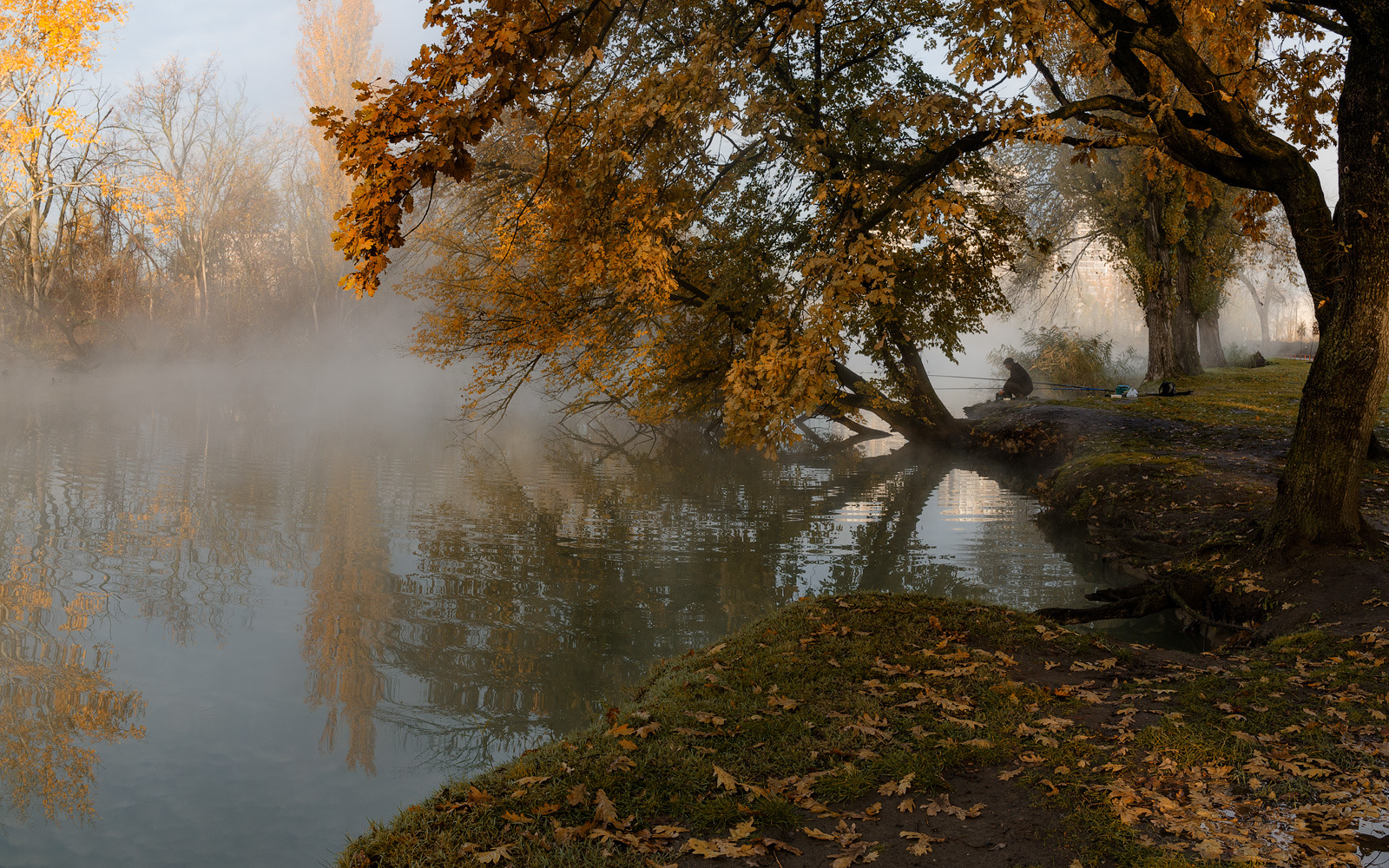 Осеннее утро и туман | Фотограф Александр Плеханов | foto.by фото.бай