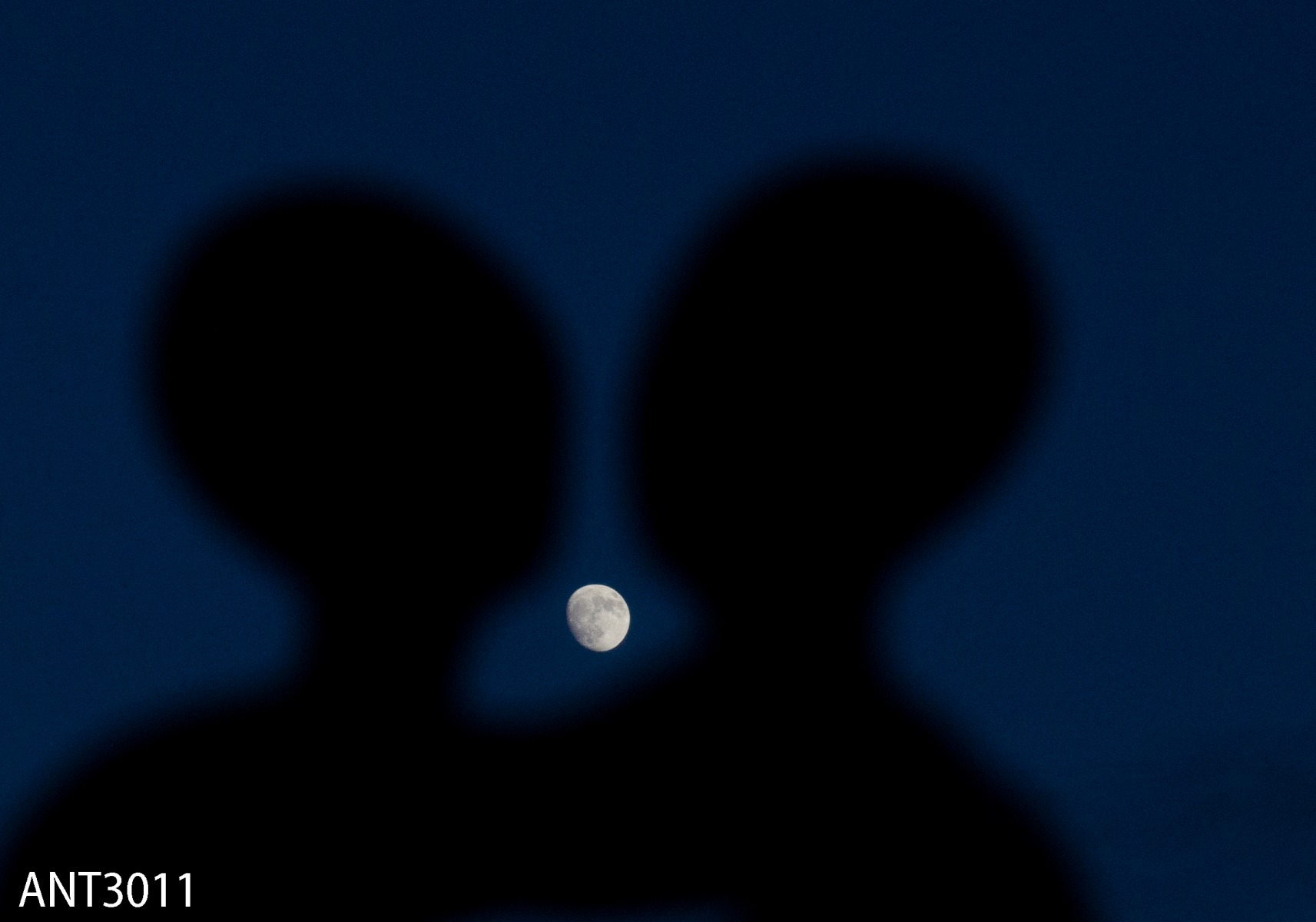 ... и луна | Фотограф владимир кожемяко | foto.by фото.бай