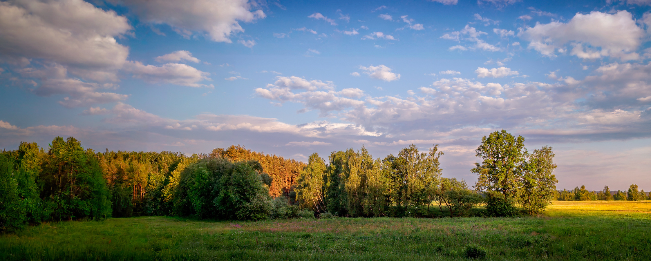 Вечерело | foto.by фото.бай
