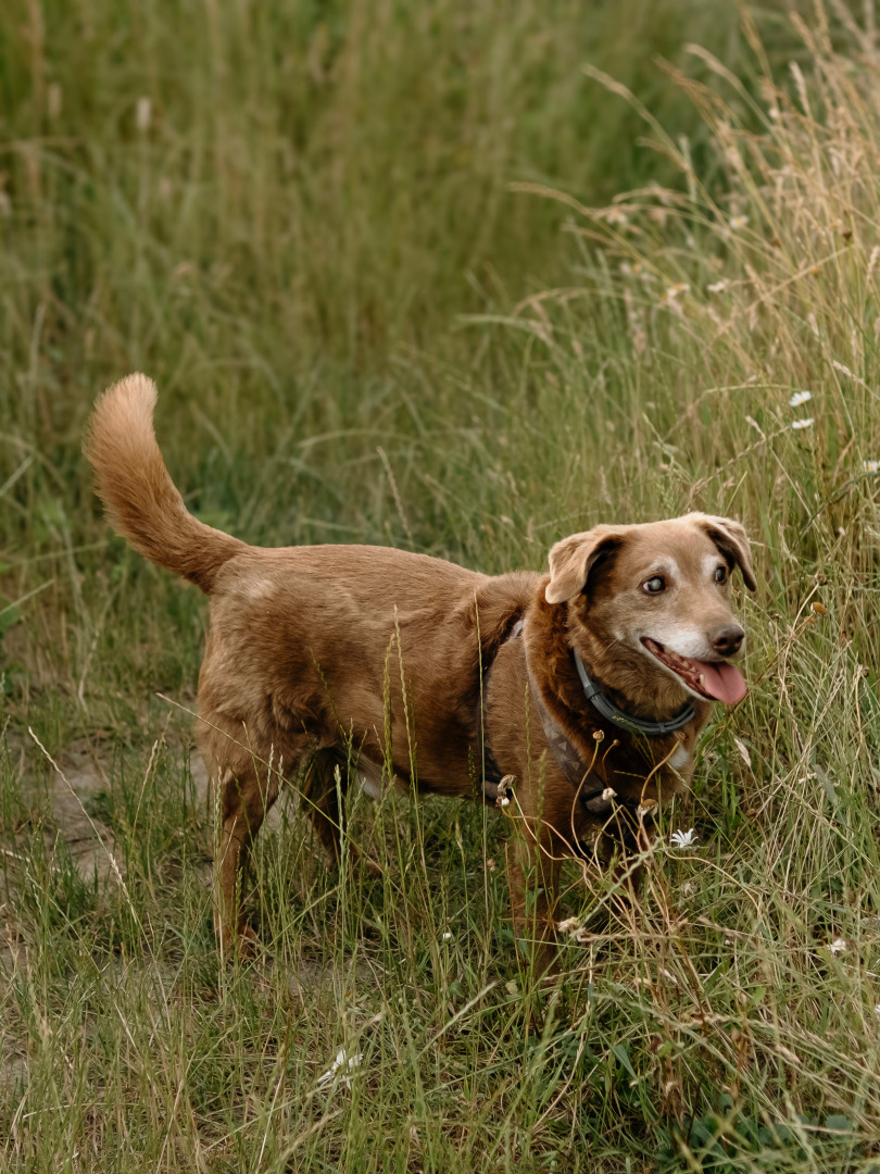 Фотограф Мария Войтик, фотография от 16.02.2026