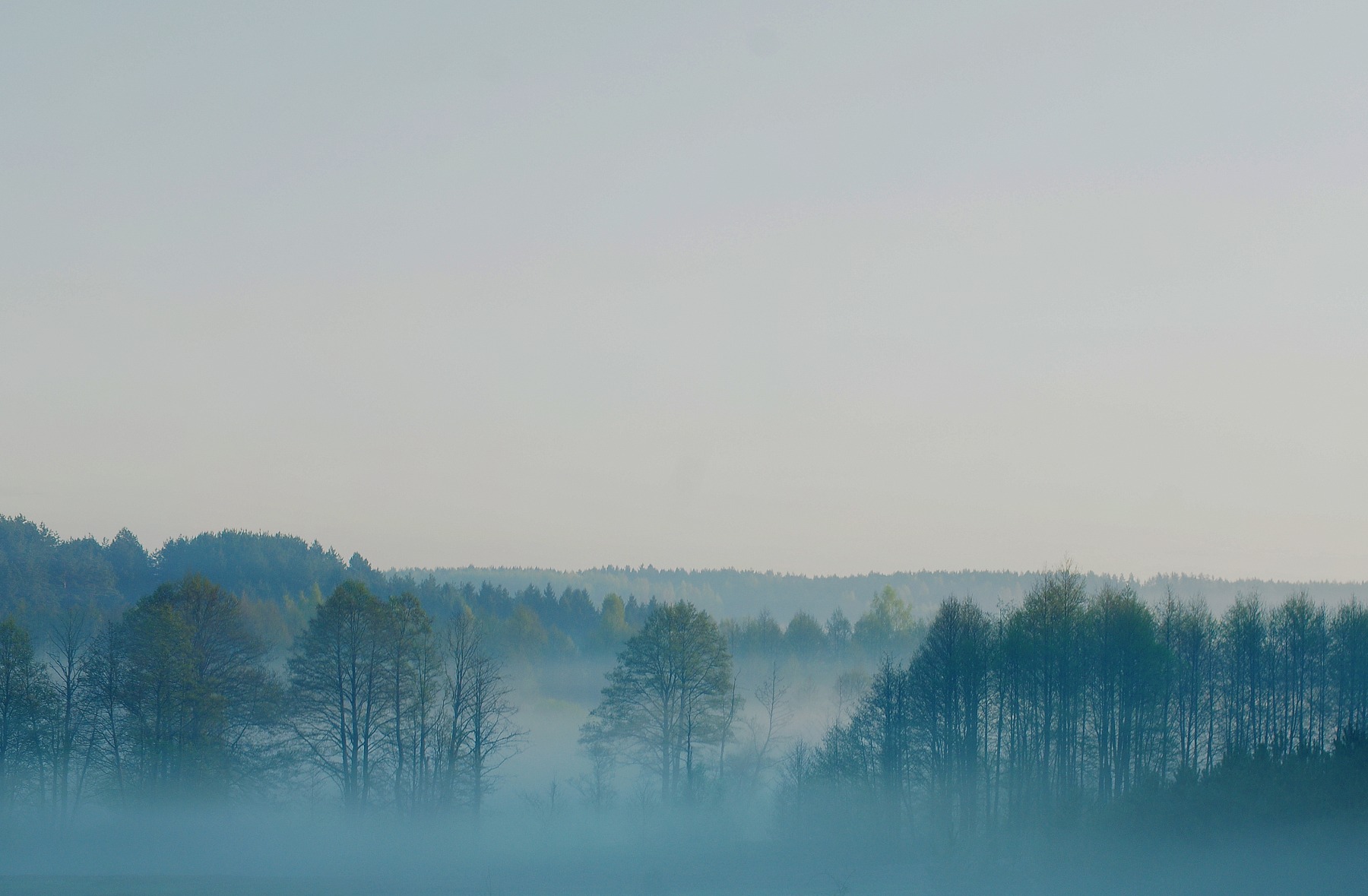 Утро. Туман. | Фотограф Вадзім Краўцоў | foto.by фото.бай