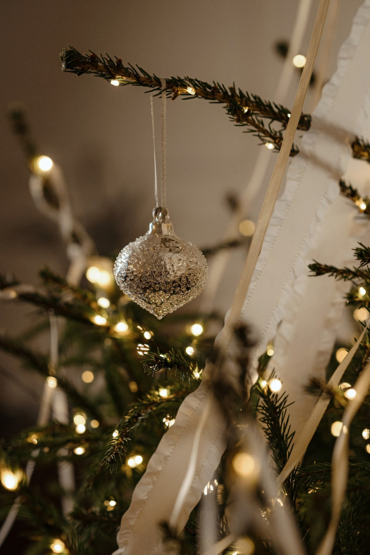 Фотограф Екатерина Шведова, фотография от 09.11.2025