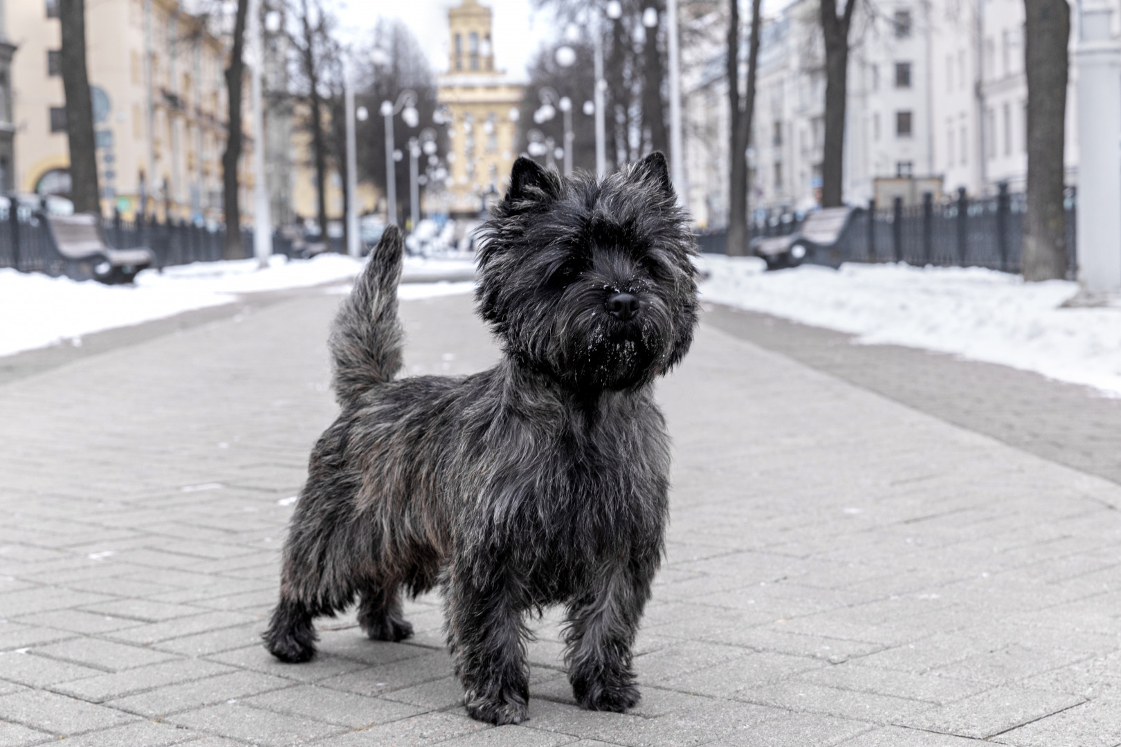 Фотограф Екатерина Рябченко - семейный, детский, свадебный, школьный фотограф в городе Минск, фотография от 22.01.2025