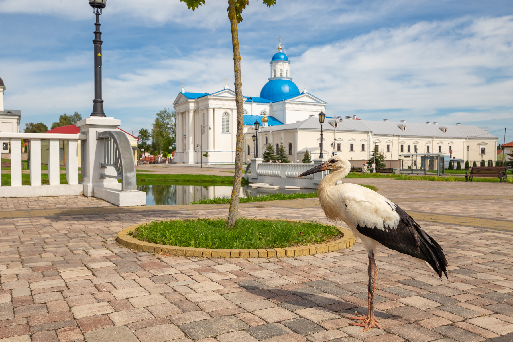 Мужской монастырь Жировичи | Фотограф Дмитрий Гайдук | foto.by фото.бай