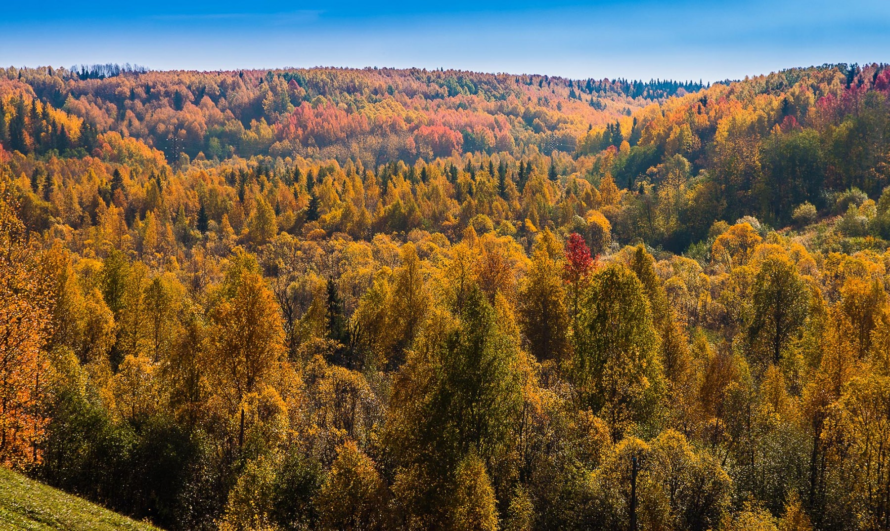 осень  на севере | Фотограф Александр Есликов | foto.by фото.бай