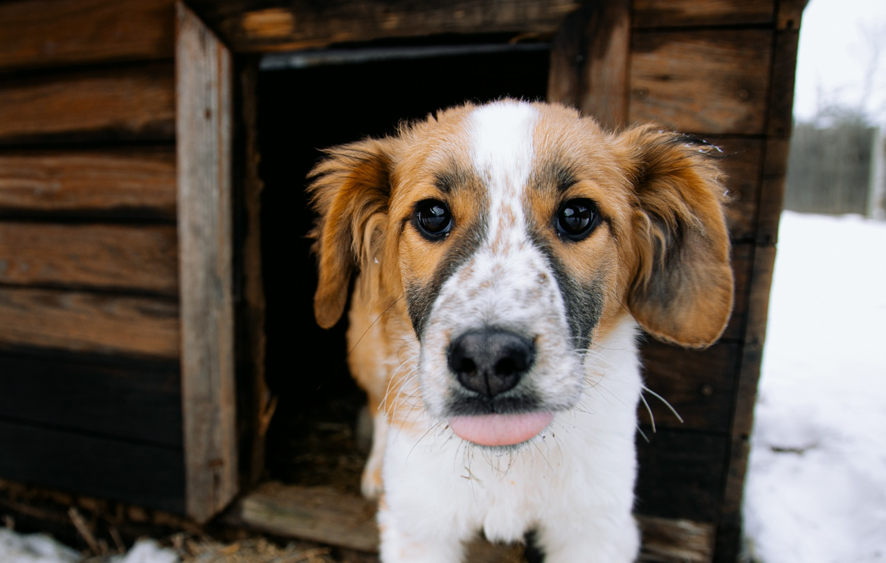 Фотограф в Минске - семейный, свадебный, репортажный фотограф. Фотосъёмка крещения, дня рождения, юбилея, венчания, корпоратива в Минске., фотография от 18.02.2026