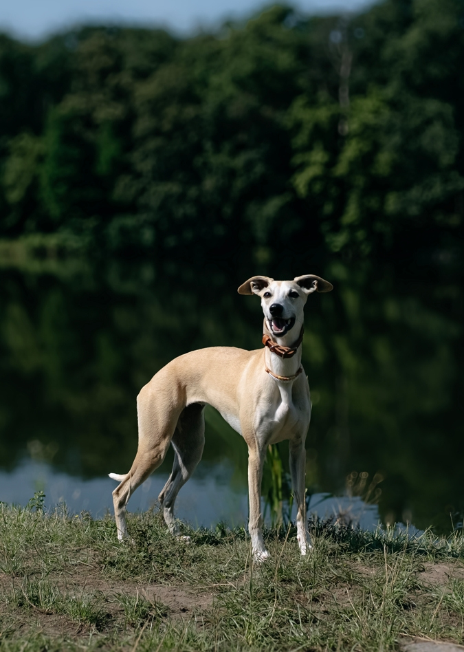 Фотограф Мария Войтик, фотография от 24.12.2025