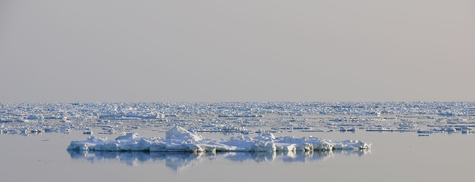 ice of horizon | Фотограф Евгений -PorshE- | foto.by фото.бай