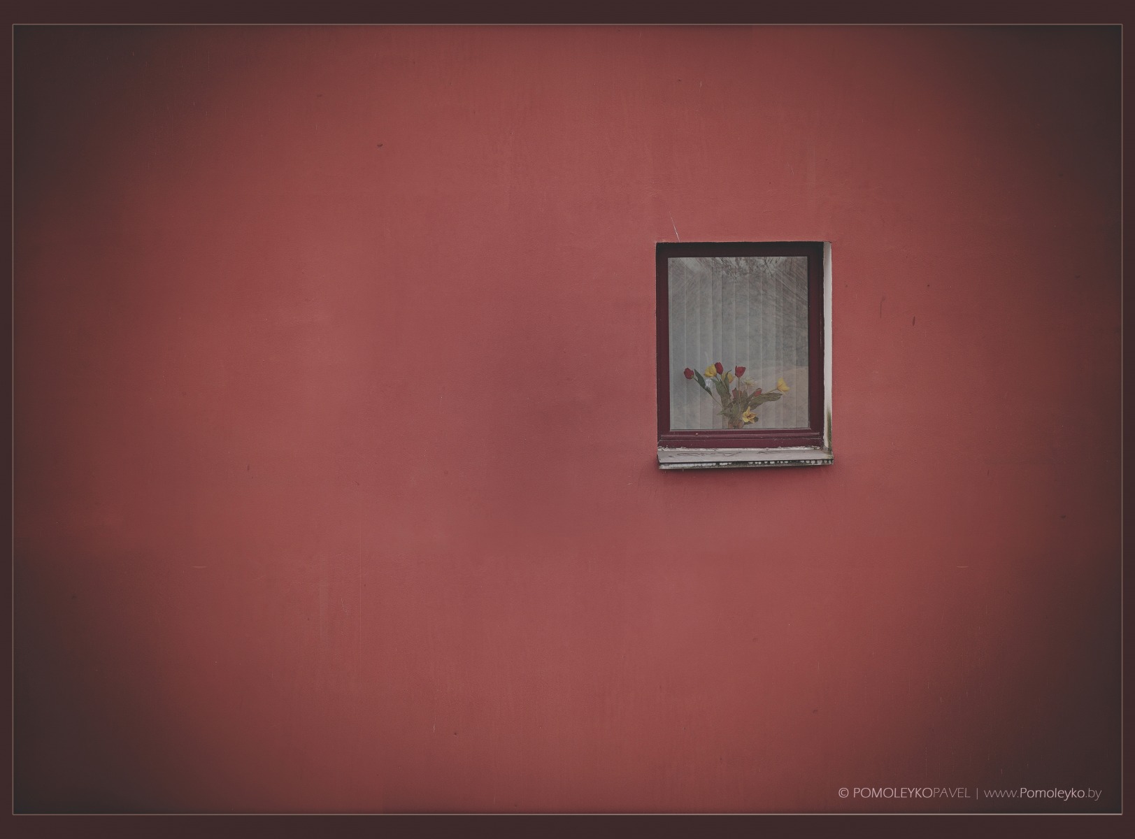 Стена. Окно. За ним цветы | Фотограф Павел Помолейко | foto.by фото.бай